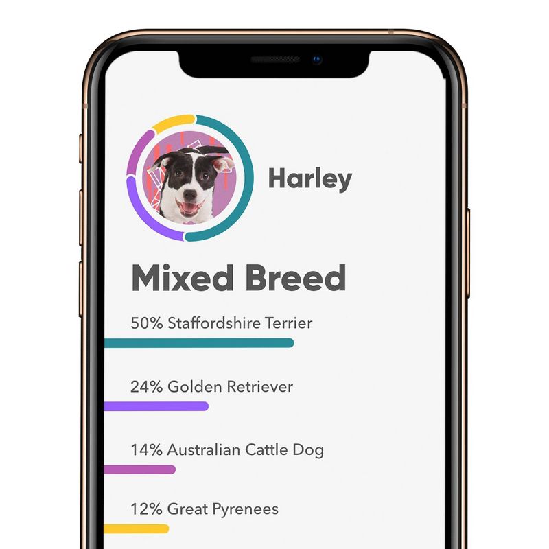 Embark Vet Breed Identification Dog DNA Kit