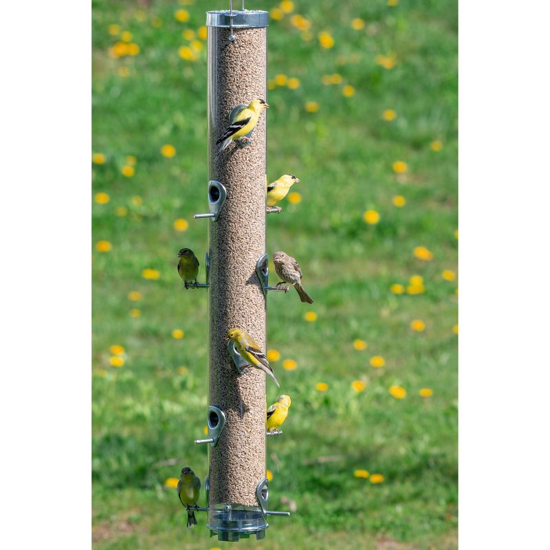 Droll Yankees Classic The Executive B-72 Bird Feeder