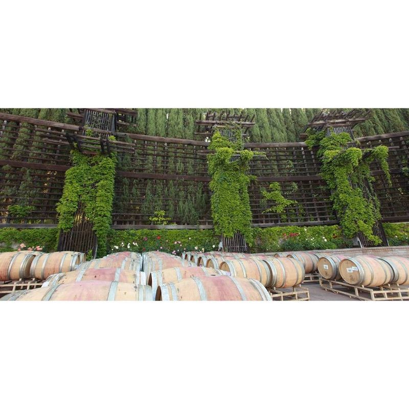 Love Cork Screw Good Times Good Friends Pinot Grigio White Wine - 750ml Bottle