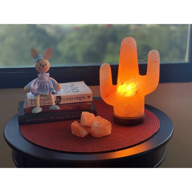 Cactus Himalayan Salt Lamp Pink - Q&A Supply