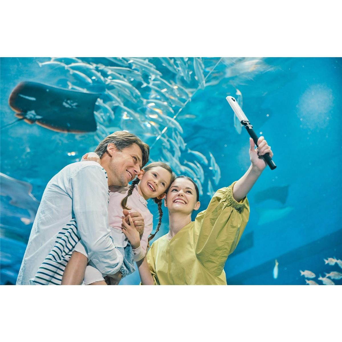 Ricoh THETA SC2 4K 360 Spherical Camera (White)