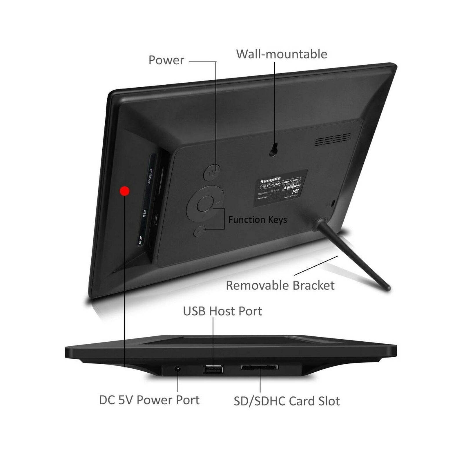 Clapper Hollow HC102 Weimaraner Framed Print