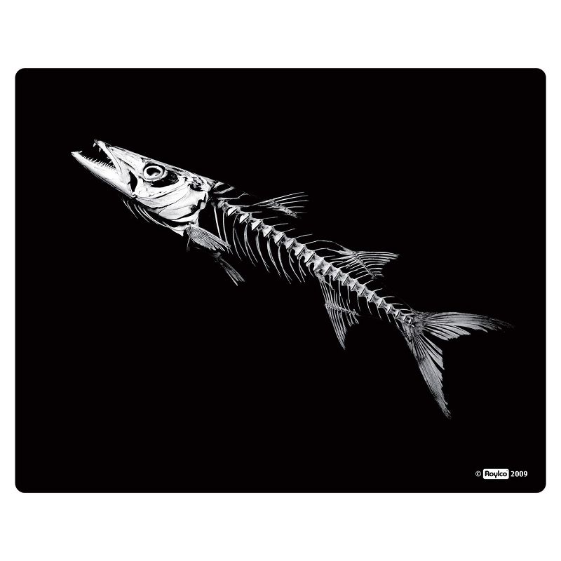 Roylco What's Inside Animals?