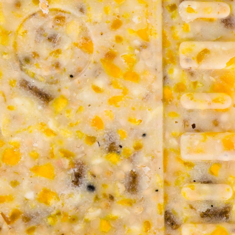 KAYTEE Wild Berry Suet Bird and Wildlife Food - 11.75oz