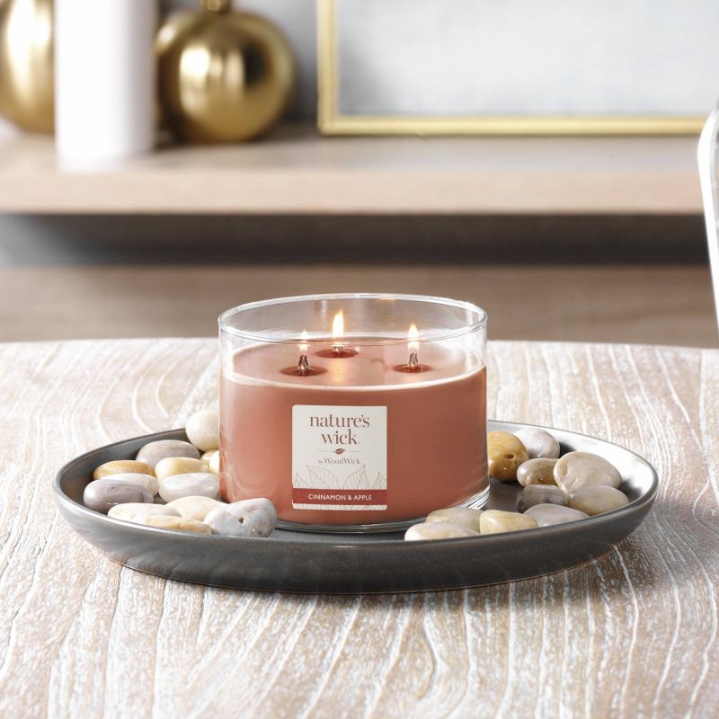 18oz Lidded Glass Jar Crackling Wooden 3-Wick Cinnamon Apple Candle - Nature's Wick