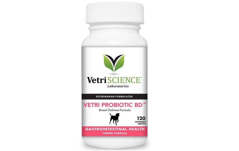 Vetriscience Laboratories Probiotic BD, Bowel Defense and GI Support Supplement for Dogs, 120 Tablets.