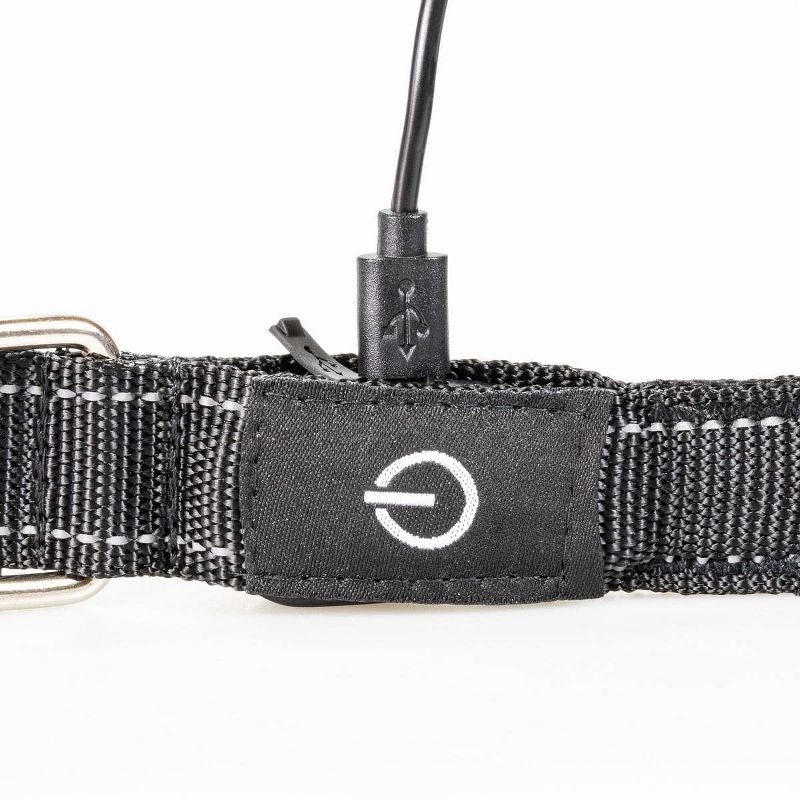 Life+Gear Rechargeable Glow Dog Collar - S