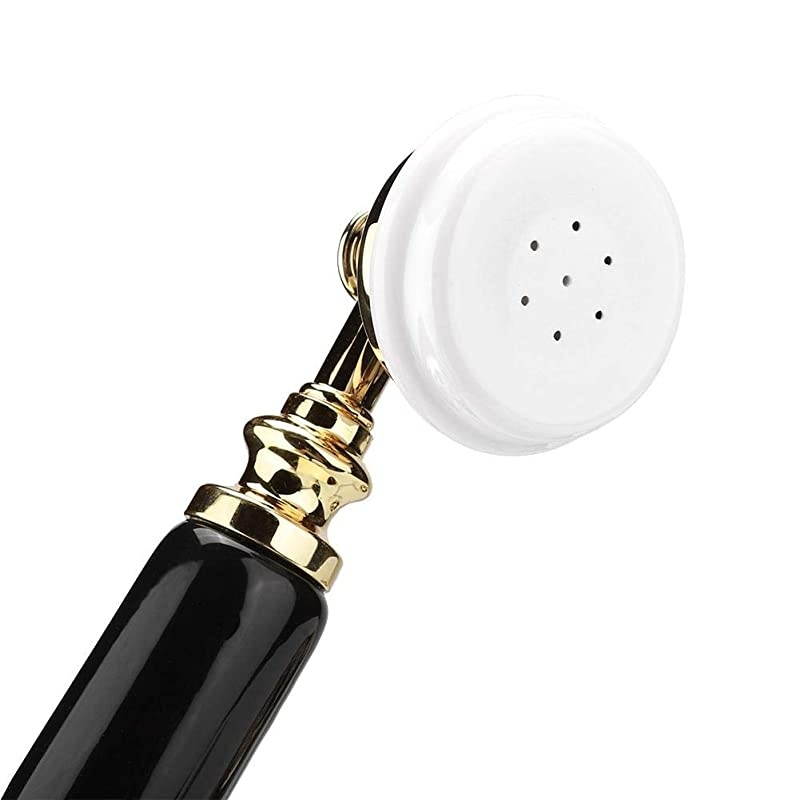 Vintage Decor Telephone,Ceramic Black Gold Flower Pattern Antique Telephone Home Decor Desk Phone,Support FSK and DTMF Caller ID, Automatic Detection Function