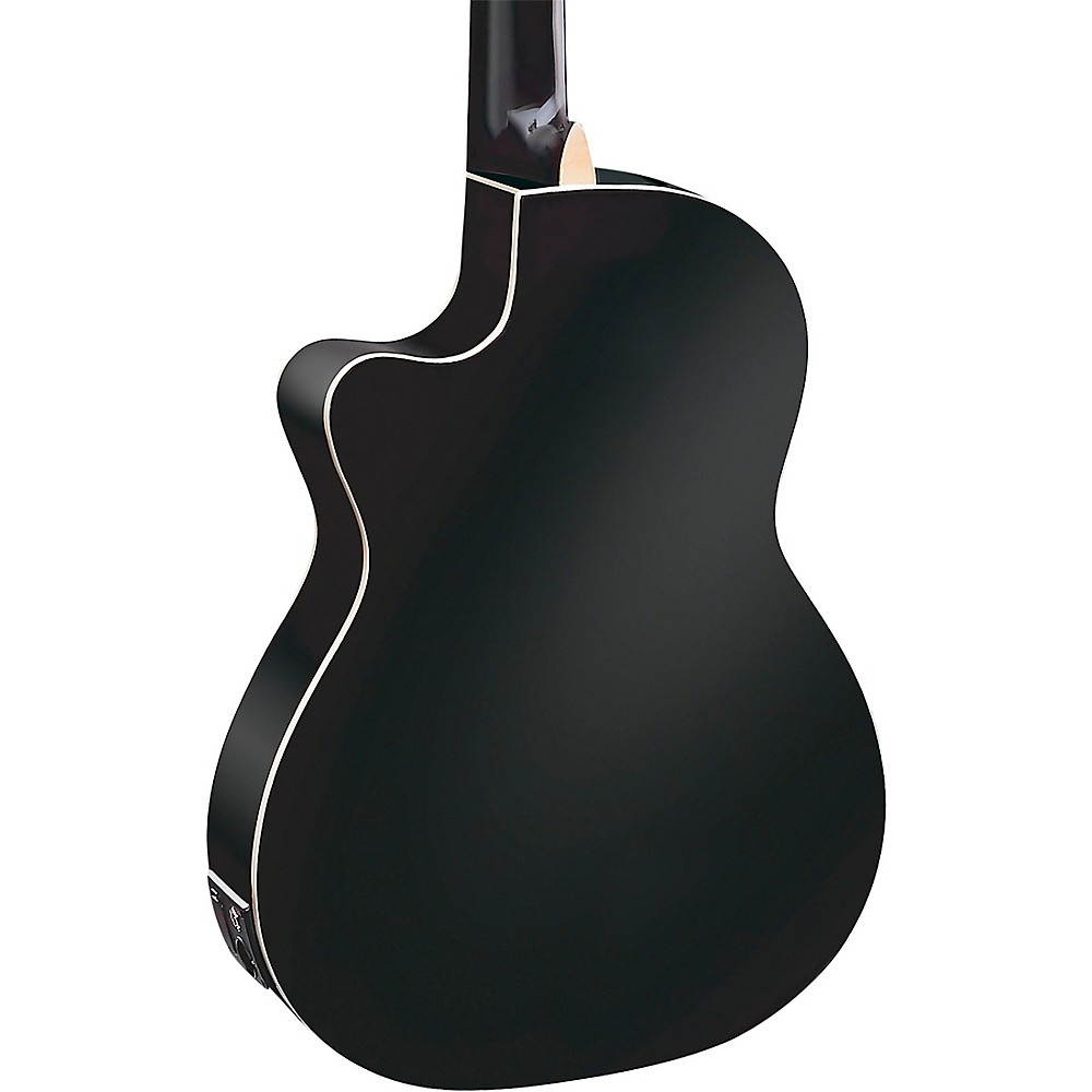 Ortega Guitars Family Series Pro 6 String Acoustic-Electric Guitar, Right (RCE141BK)