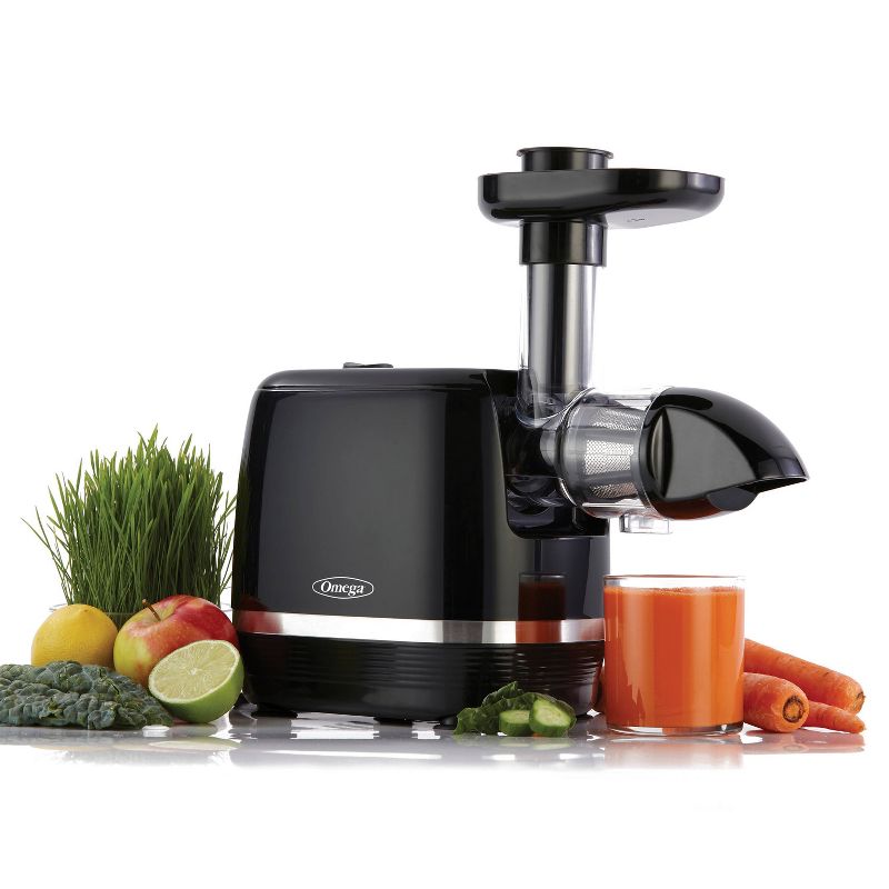 Omega Cold Press 365 Horizontal Slow Juicer - Black