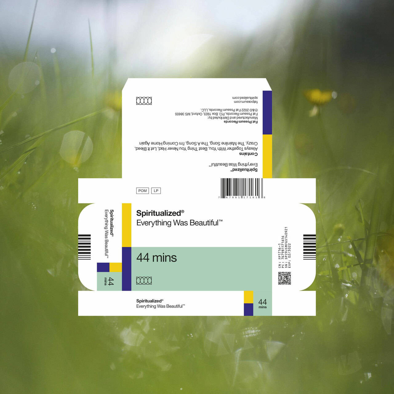 Spiritualized Everything Was Beautiful LP (Vinyl)