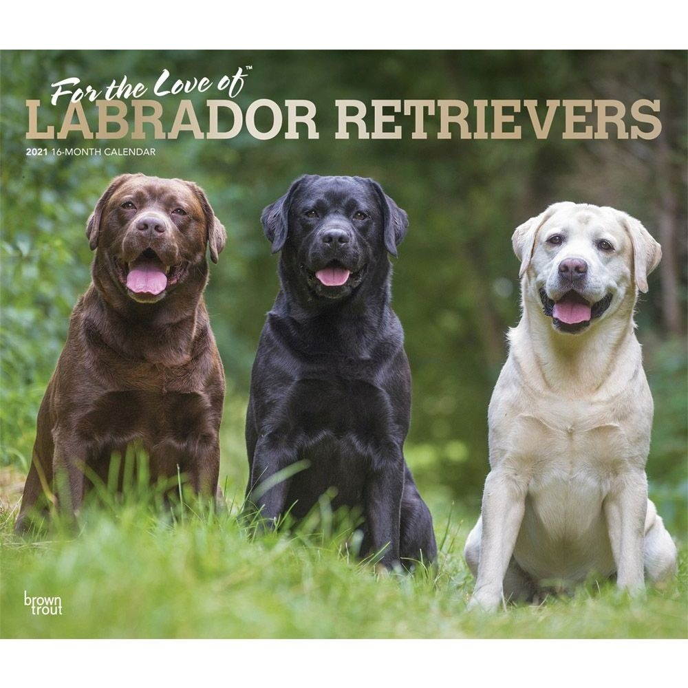 BrownTrout,  Lab Retriever 2021 Deluxe Wall Calendar 2021