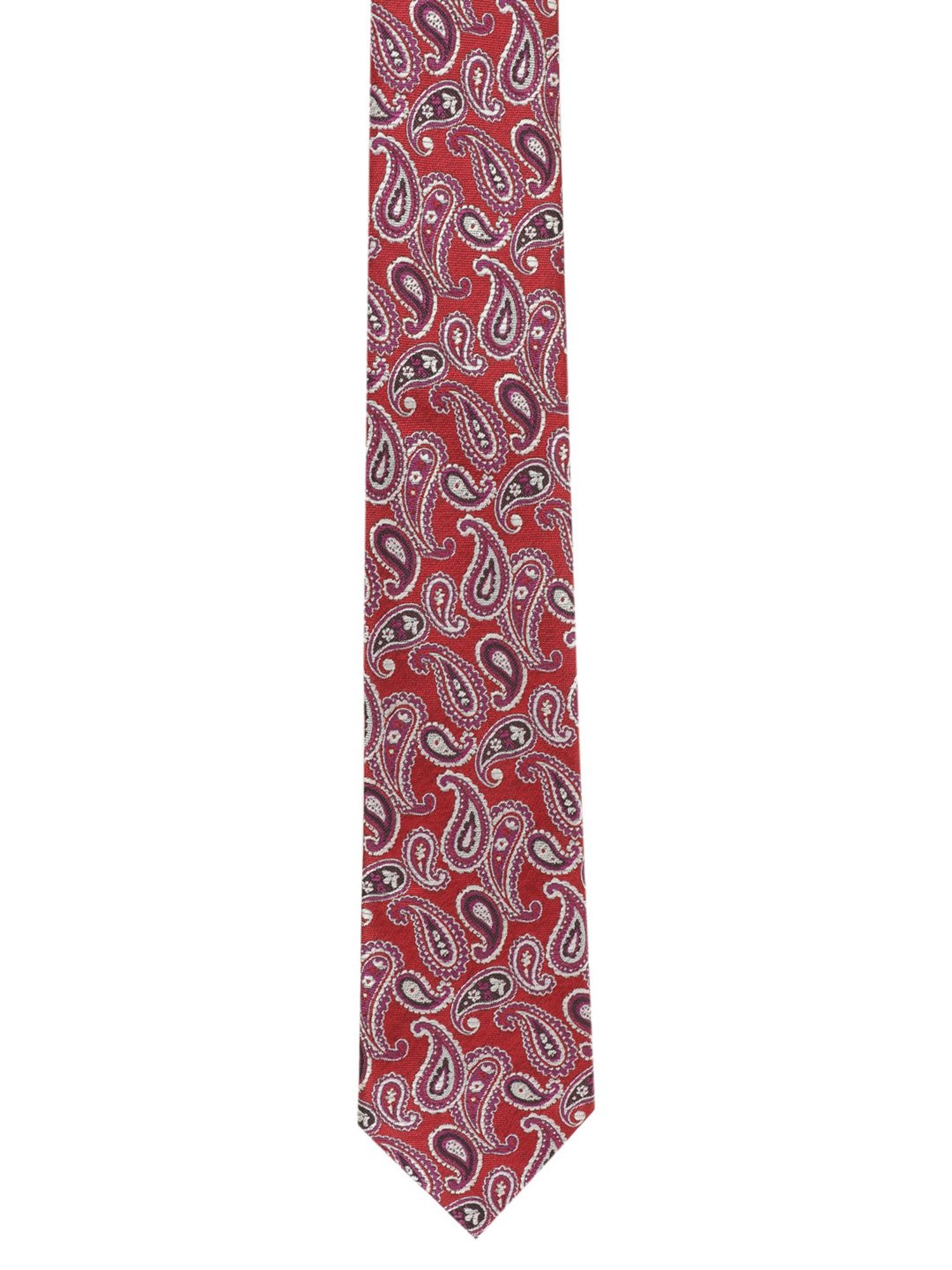 Alvaro Castagnino Multicolor Necktie