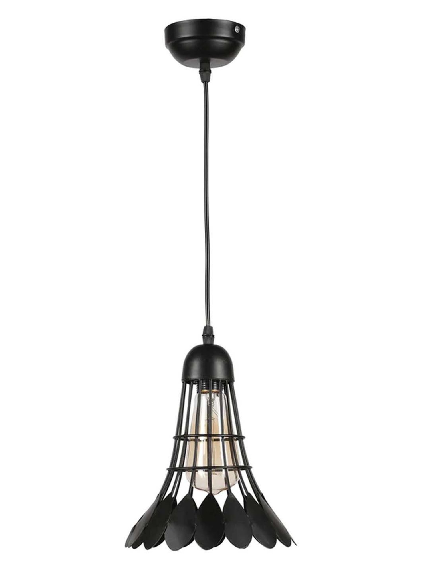DecorativeRay Black Hanging Light - Set of 1