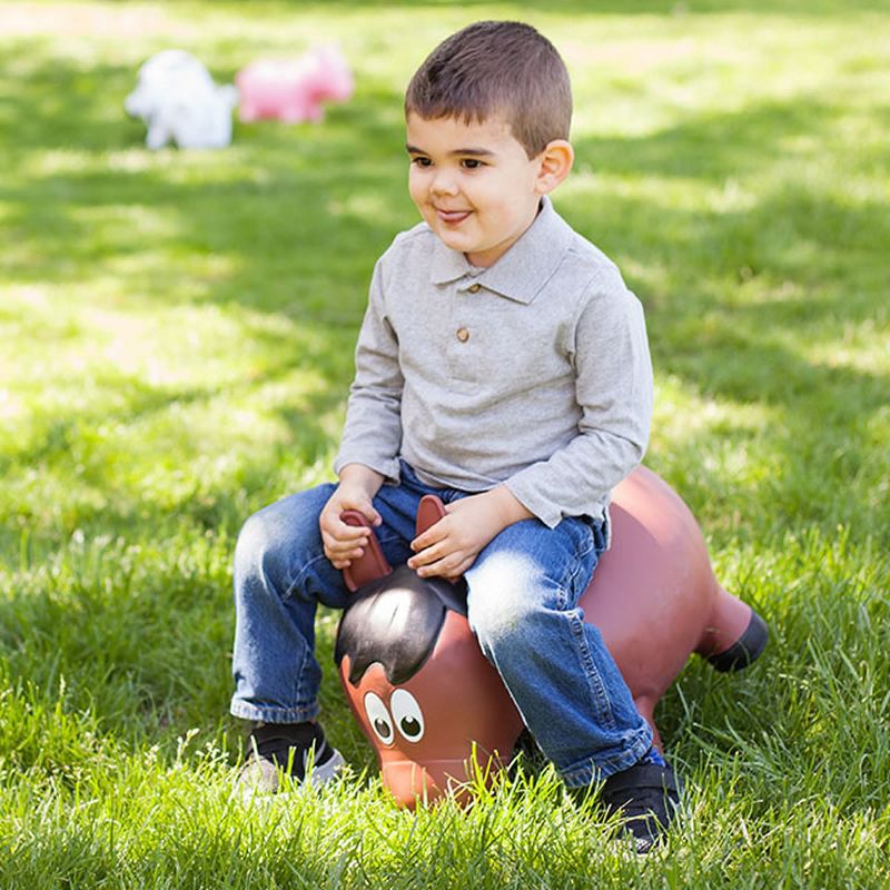 Farm Hoppers Inflatable Bouncing Brown Horse