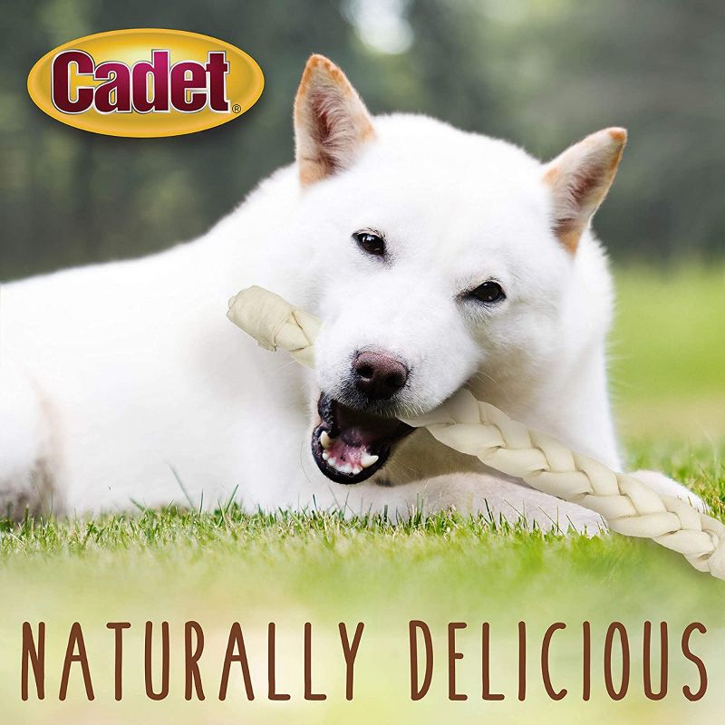 Cadet 13-14 Inch Braided Rawhide Stick