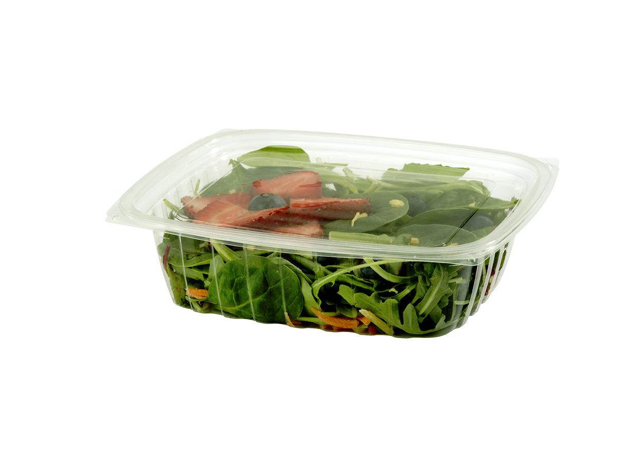 World Centric RD-CS-24, 24-Ounce Clear Ingeo Rectangular Deli Containers, 600/CS