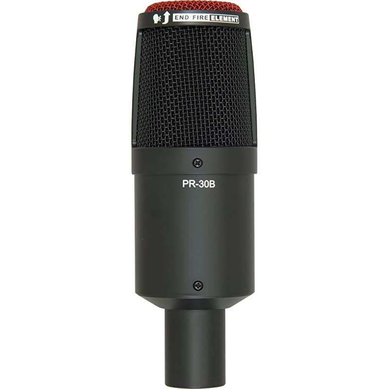 Sound PR 30B Large-Diaphragm Dynamic Microphone