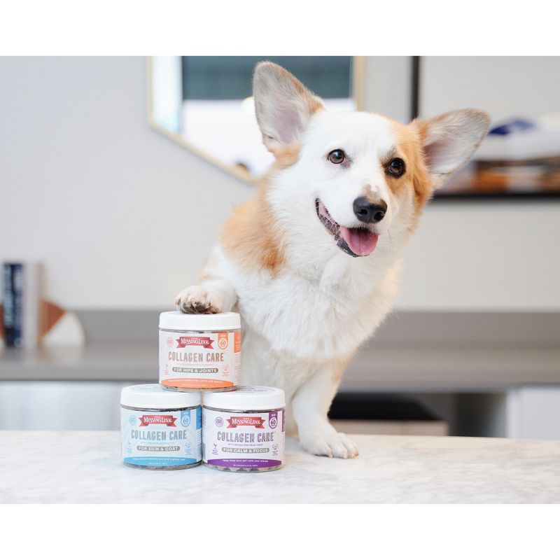 The Missing Link Collagen CareTM Hips & Joint, Promote Health Hips and Mobility, Soft Chew Supplements for Adult Dogs, 60 Count