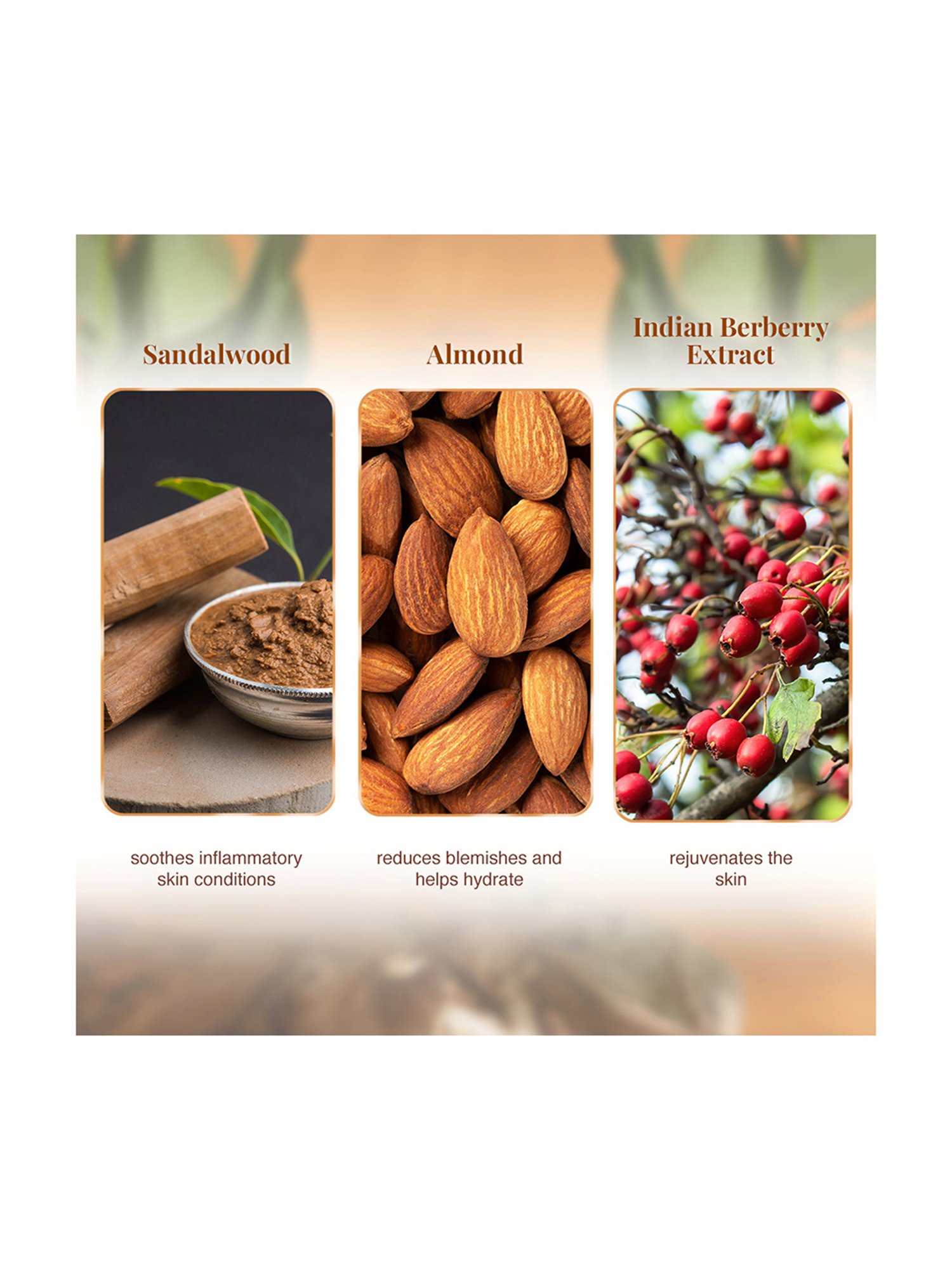 VLCC Sandal Cleansing Milk - Pack of 3