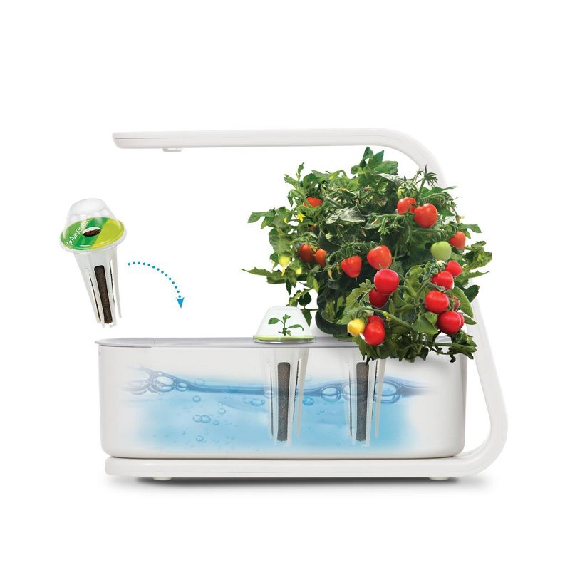 AeroGarden Sprout - White