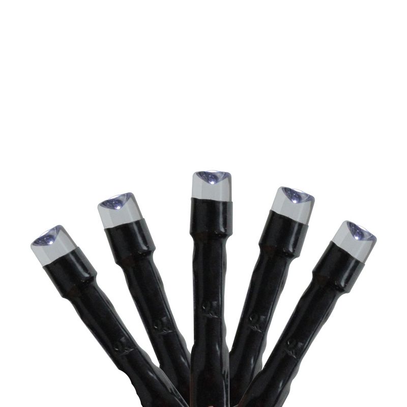 Kaemingk 240ct Battery Operated LED 8-Function Christmas Lights White - 58.5' Black Wire