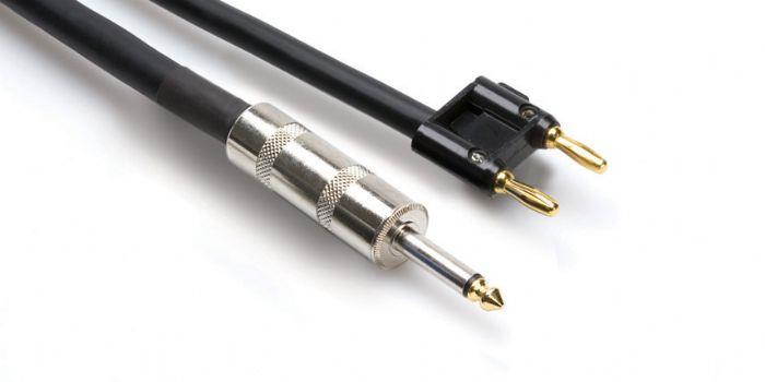 Speaker Cable 100Ft 1/4 TS To MDP Banana 12AWG 1/4 to MDP (Banana Plug) Cable