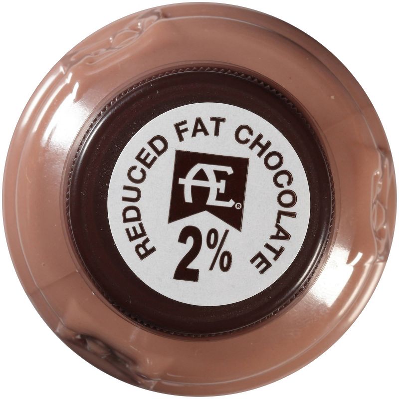 Anderson Erickson Reduced Fat Chocolate Milk - 12 fl oz