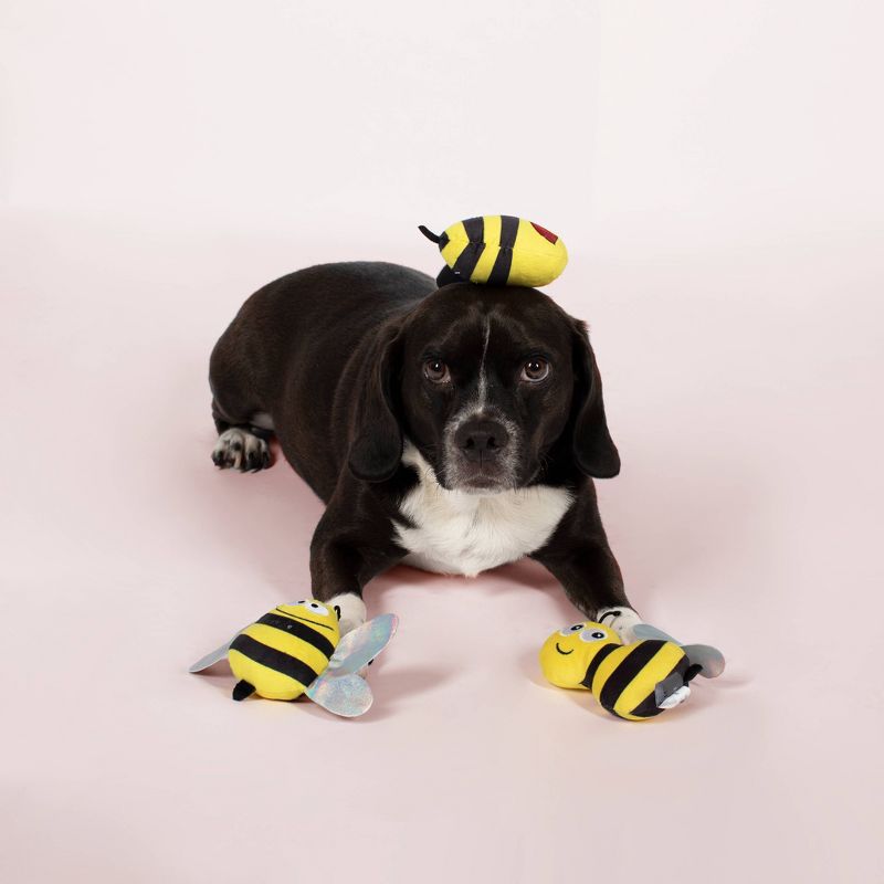 PetShop by Fringe Studio Bumble Bees Set Dog Toys - 3pk