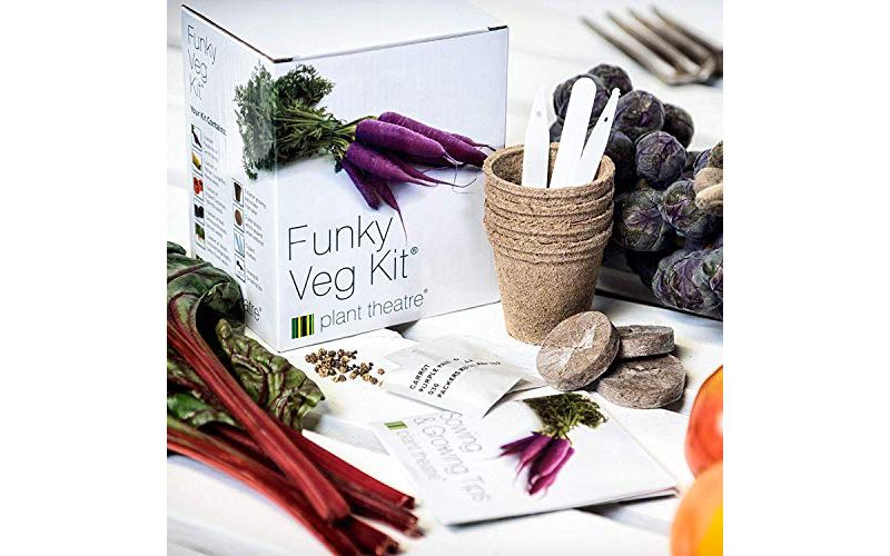 Plant Theatre Funky Veg Kit Gift Box - Plant Seed Kit - 5 Extraordinary Vegetables to Grow - Everything You Need to Start Growing in one Box!