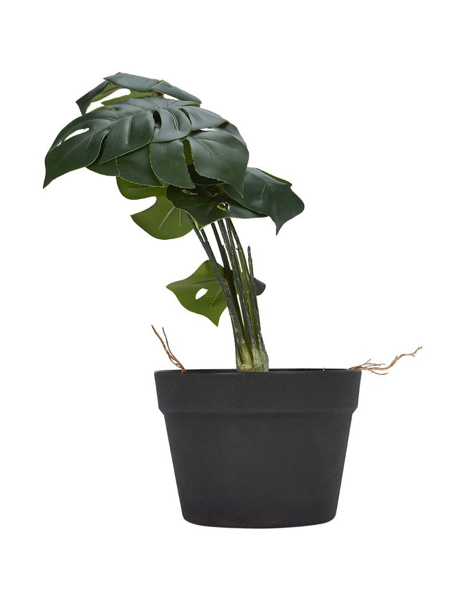 Living Scapes by Pantaloons Green Plastic Artificial Plant Vases