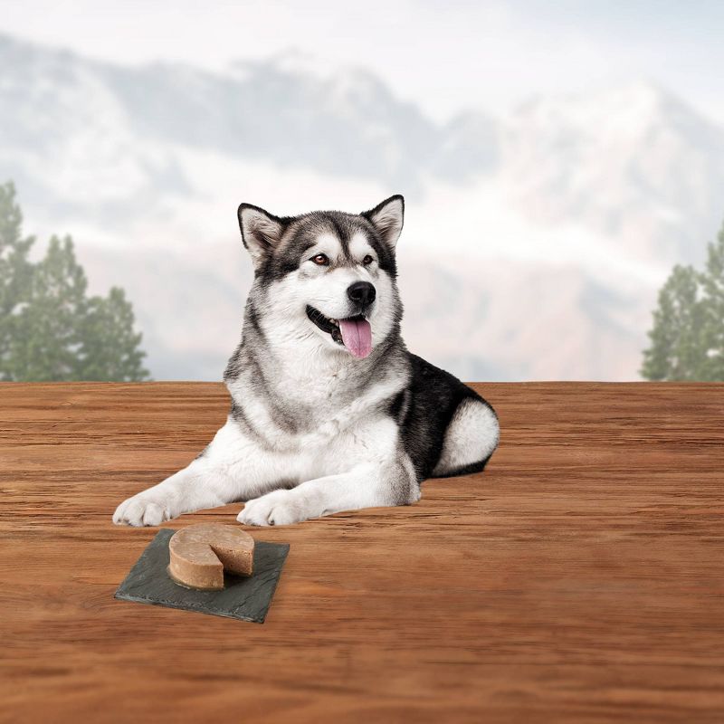 Blue Buffalo True Solutions Best Life Wet Dog Food - 12.5oz