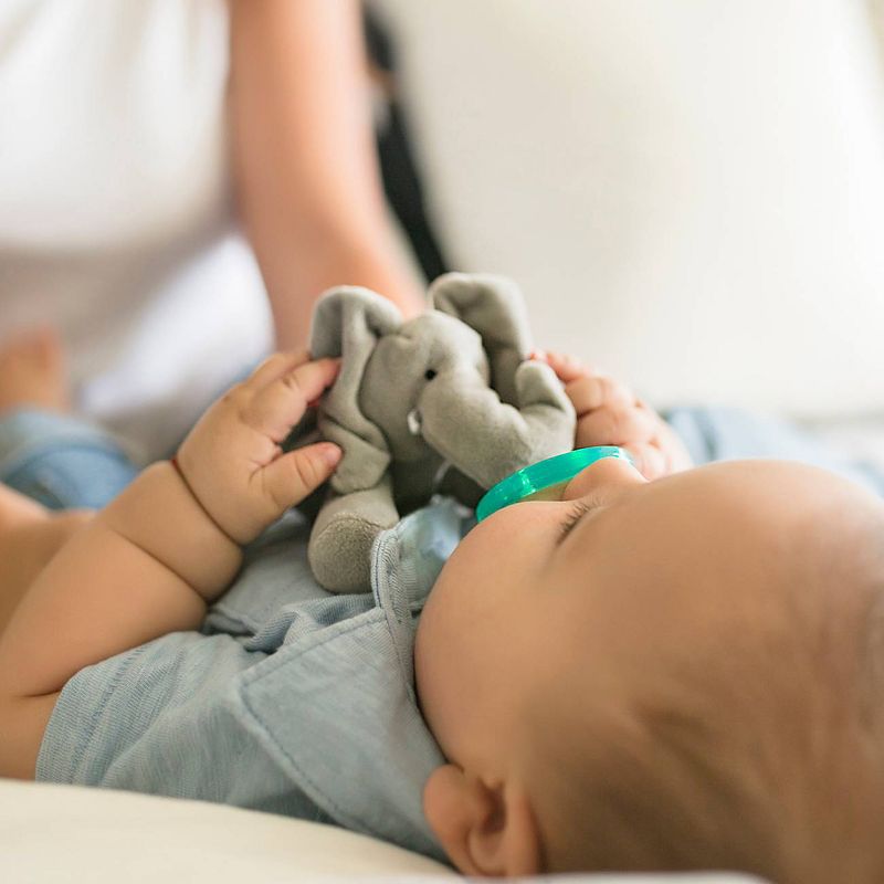 WubbaNub Elephant Pacifier - Gray