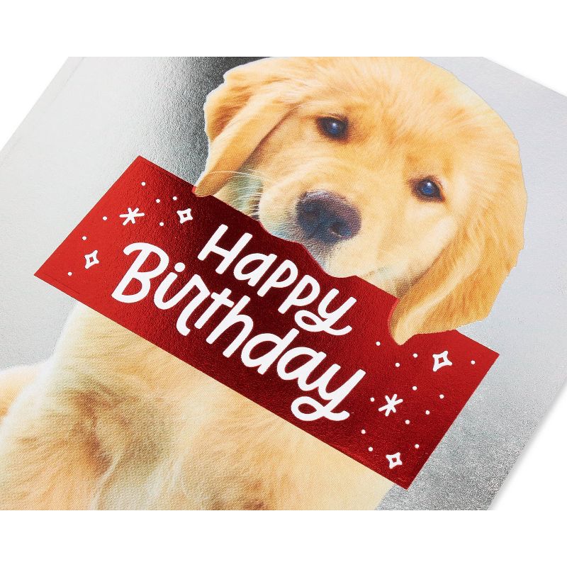 Birthday Card Puppy