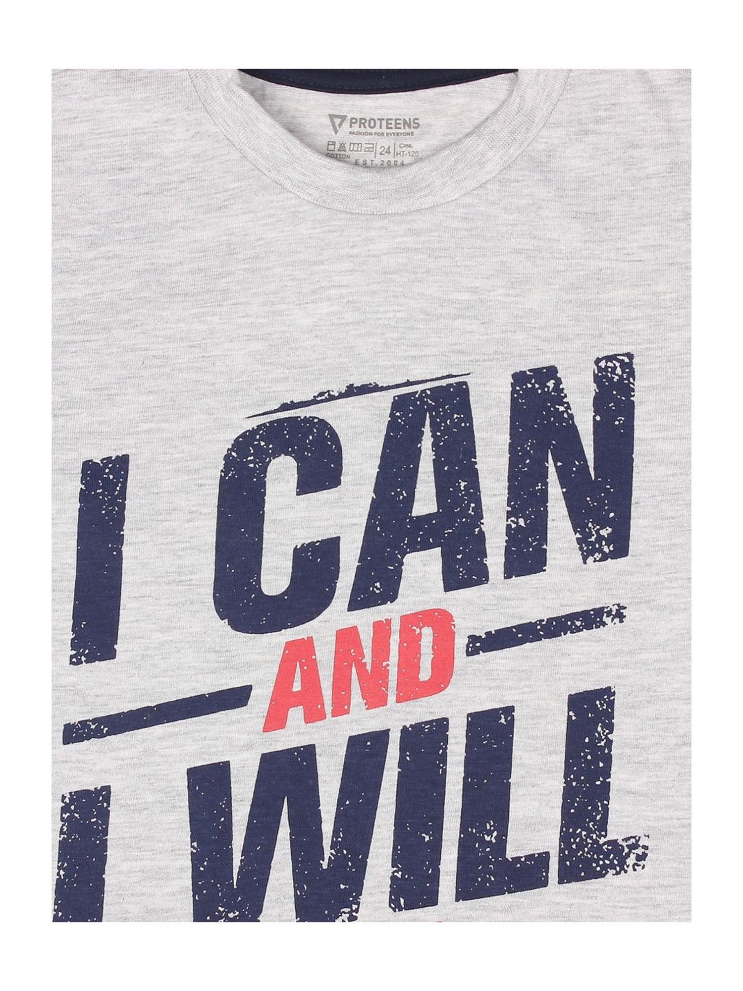 Proteens Boys Grey Cotton Printed T-Shirt