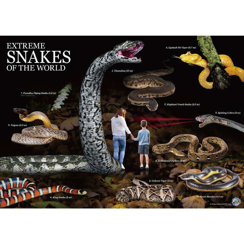 WILD! Science Environmental Science Extreme Snakes of the World - For Ages 6+