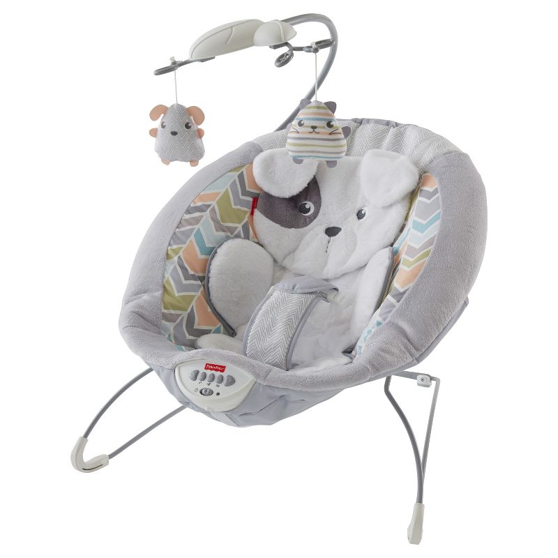​Fisher-Price Baby Bouncer