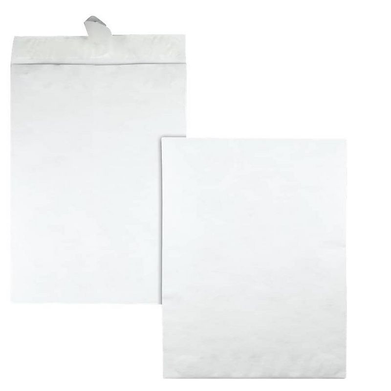 Survivor Tyvek Jumbo Mailer 14 1/4 x 20 White 25/Box R5106