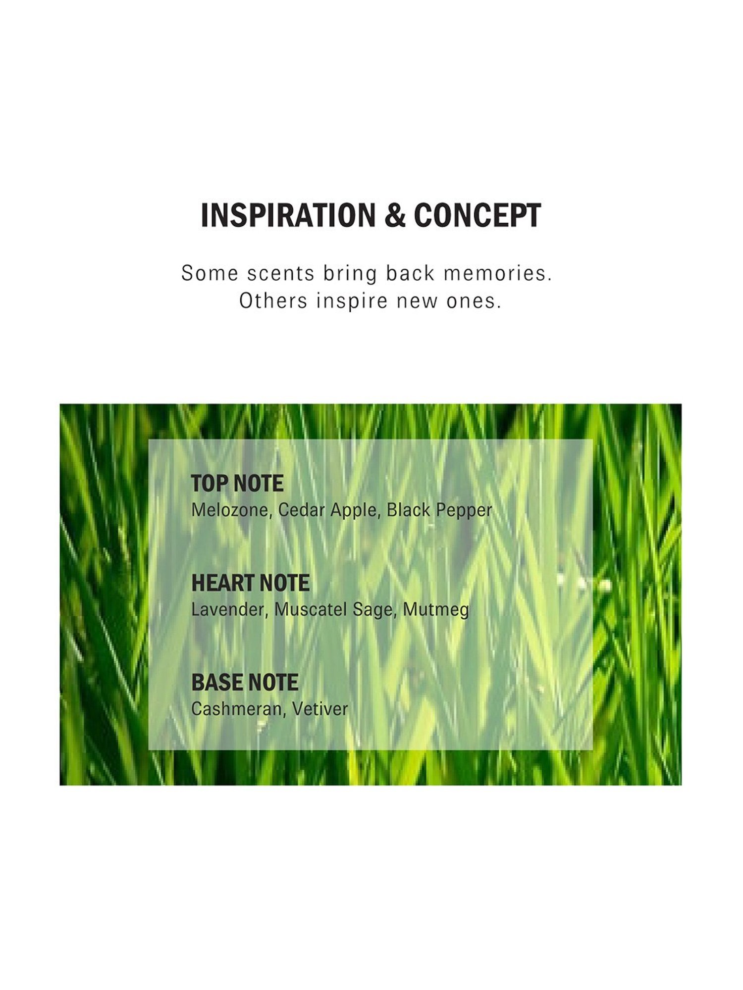 Porsche 180 Blue Eau de Toilette - 100 ml