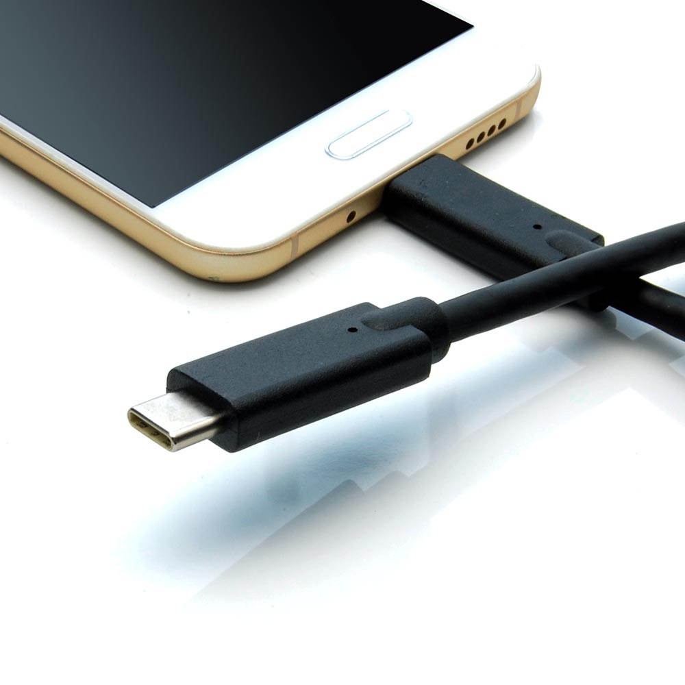 Fuji Labs USB Type C Male to Type C Male Cable