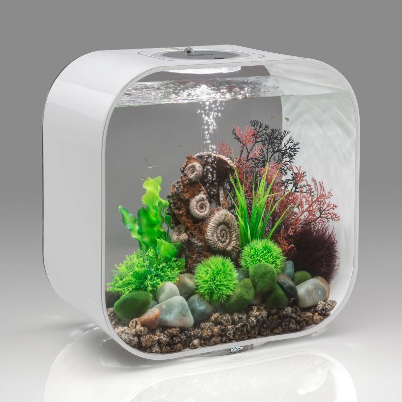 Little Giant Pumps 582507 1325 GPH 1/10 HP Magnetic Drive In Line Aquarium Pump