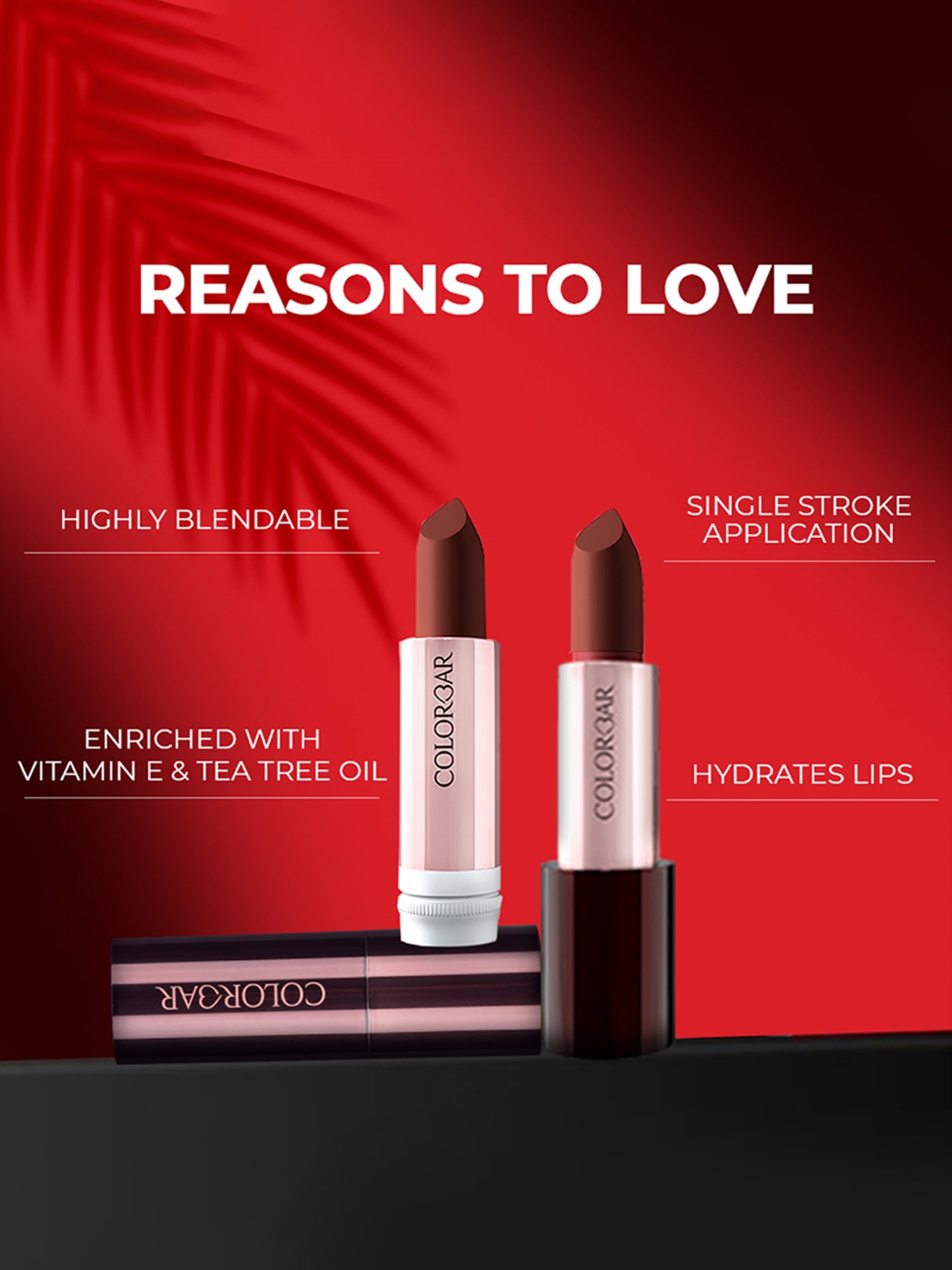 Colorbar Take Me As I Am Matte Lipstick Seductive Tan-012 - 4.2 gm