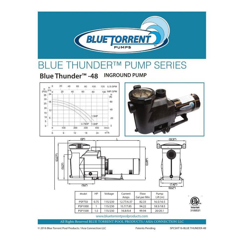 Blue Torrent AC PSP1056 1 HP Blue Thunder Single Speed 2 Inch Port Replacement Pump with On Off Switch and Standard Plug for Outdoor In Ground Pools