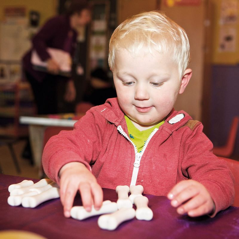 Yellow Door Dinosaur Bones Discovery Set