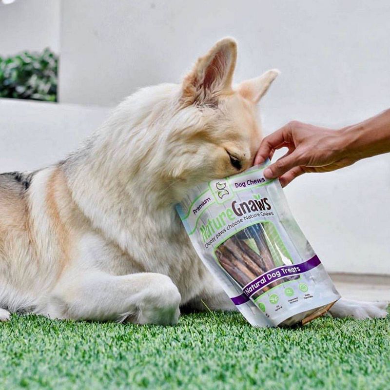 Nature Gnaws Beef Bully Stick Dog Treats - 5ct