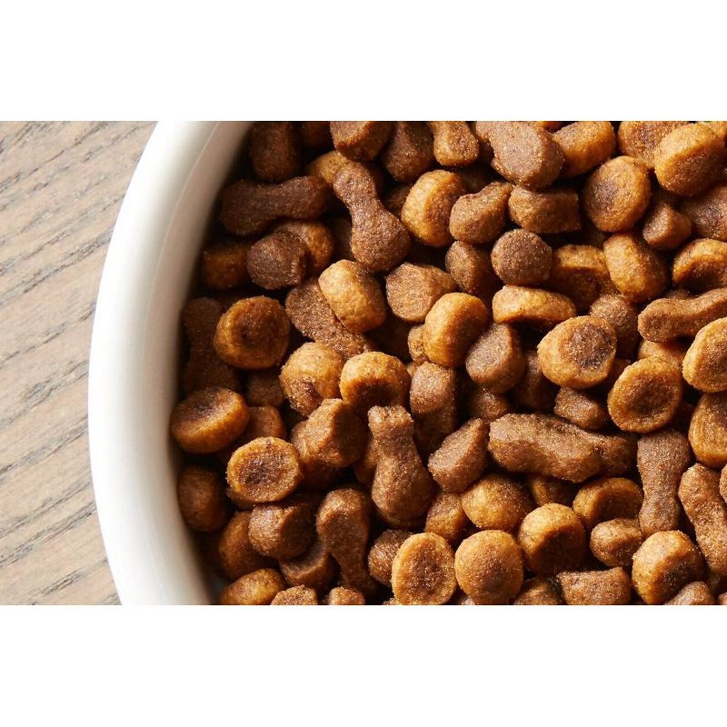 Rachel Ray Nutrish Yummy Chicken and Veggies Recipe Dry Cat Food - 12lbs