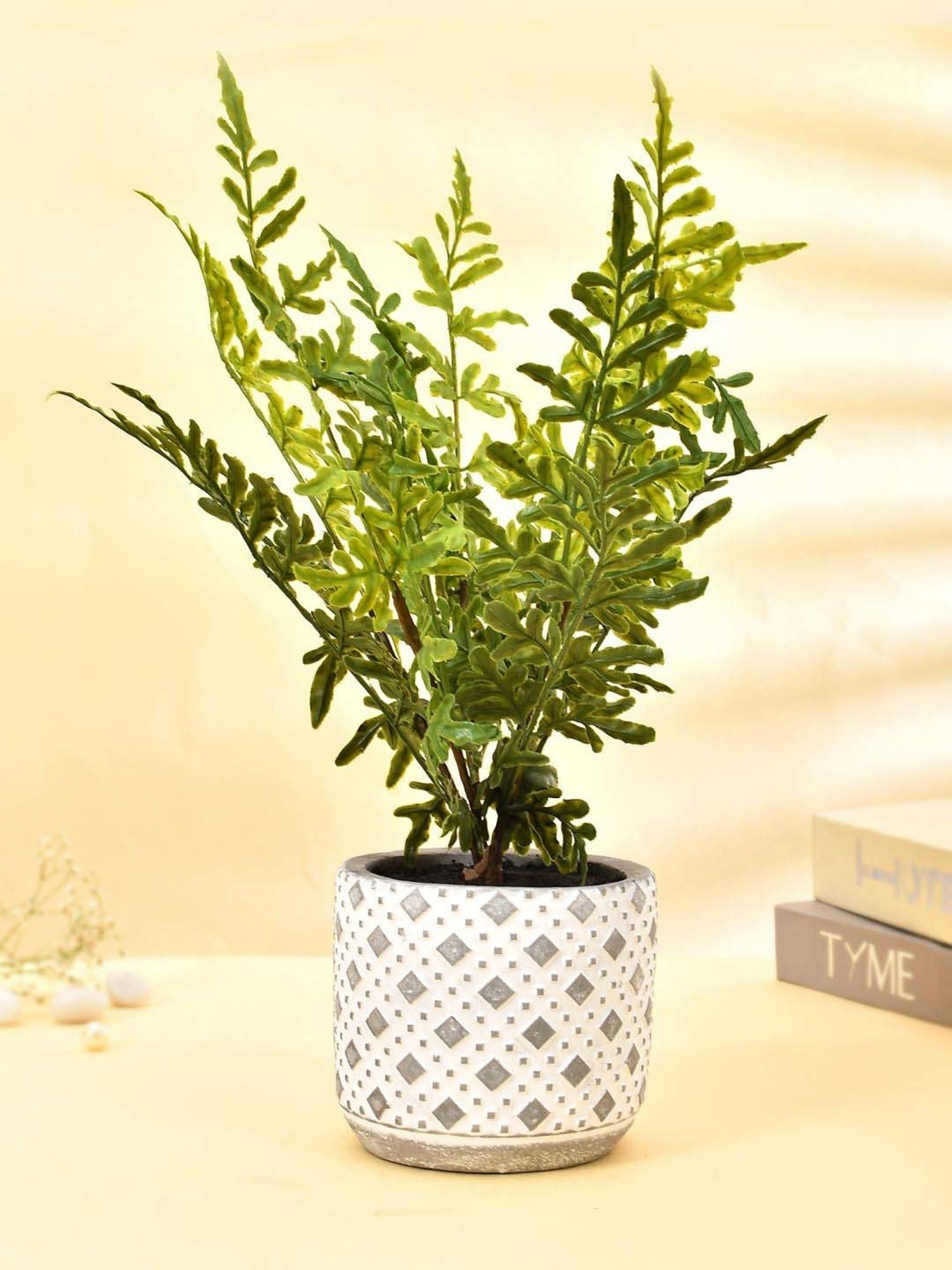 Tayhaa Grey & Green Ceramic Diamon Patterned Pot With Artificial Fern