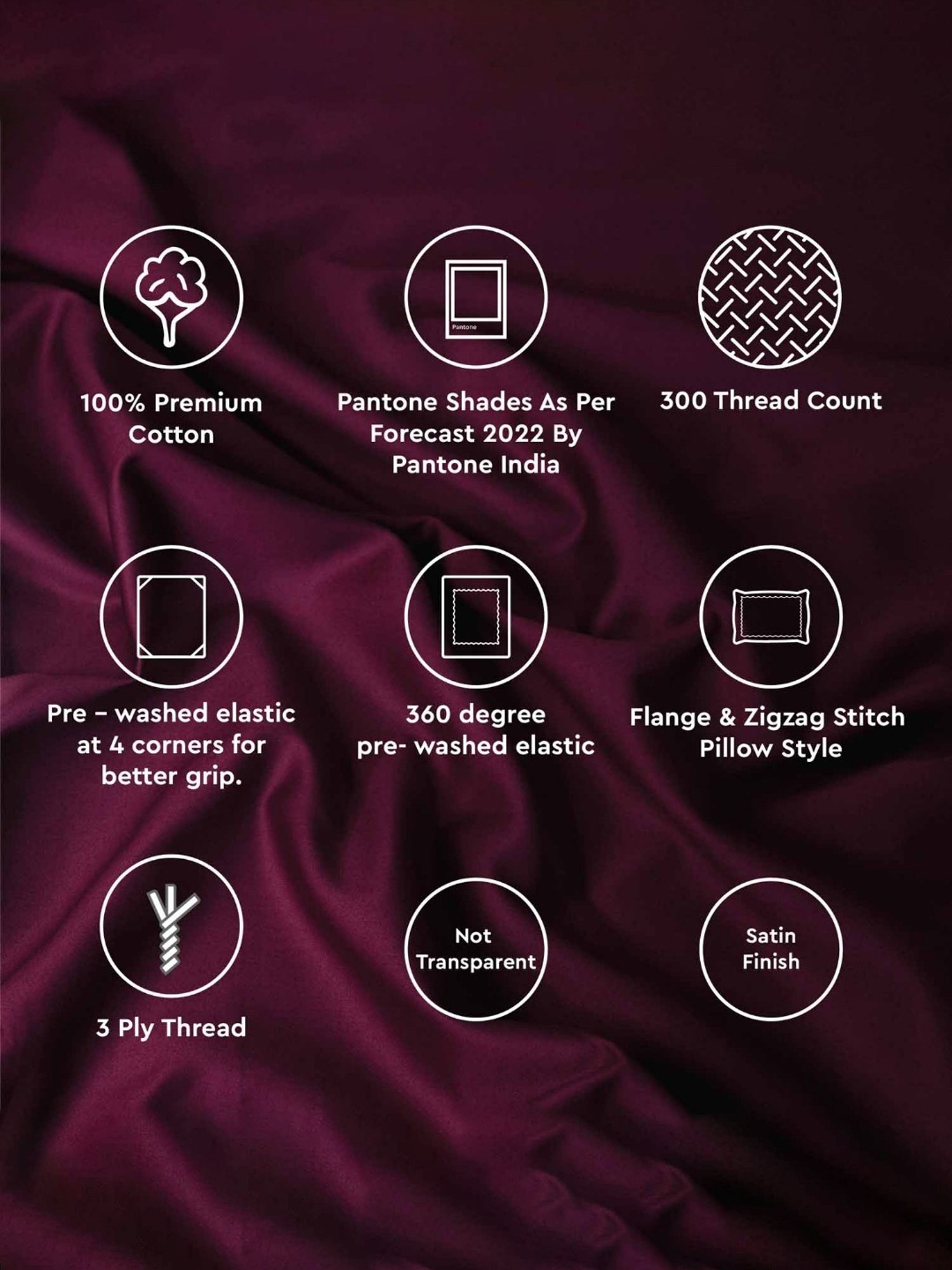 Haus & Kinder Solid Beige 300 TC Cotton Bed Sheet with 1 Pillow Cover