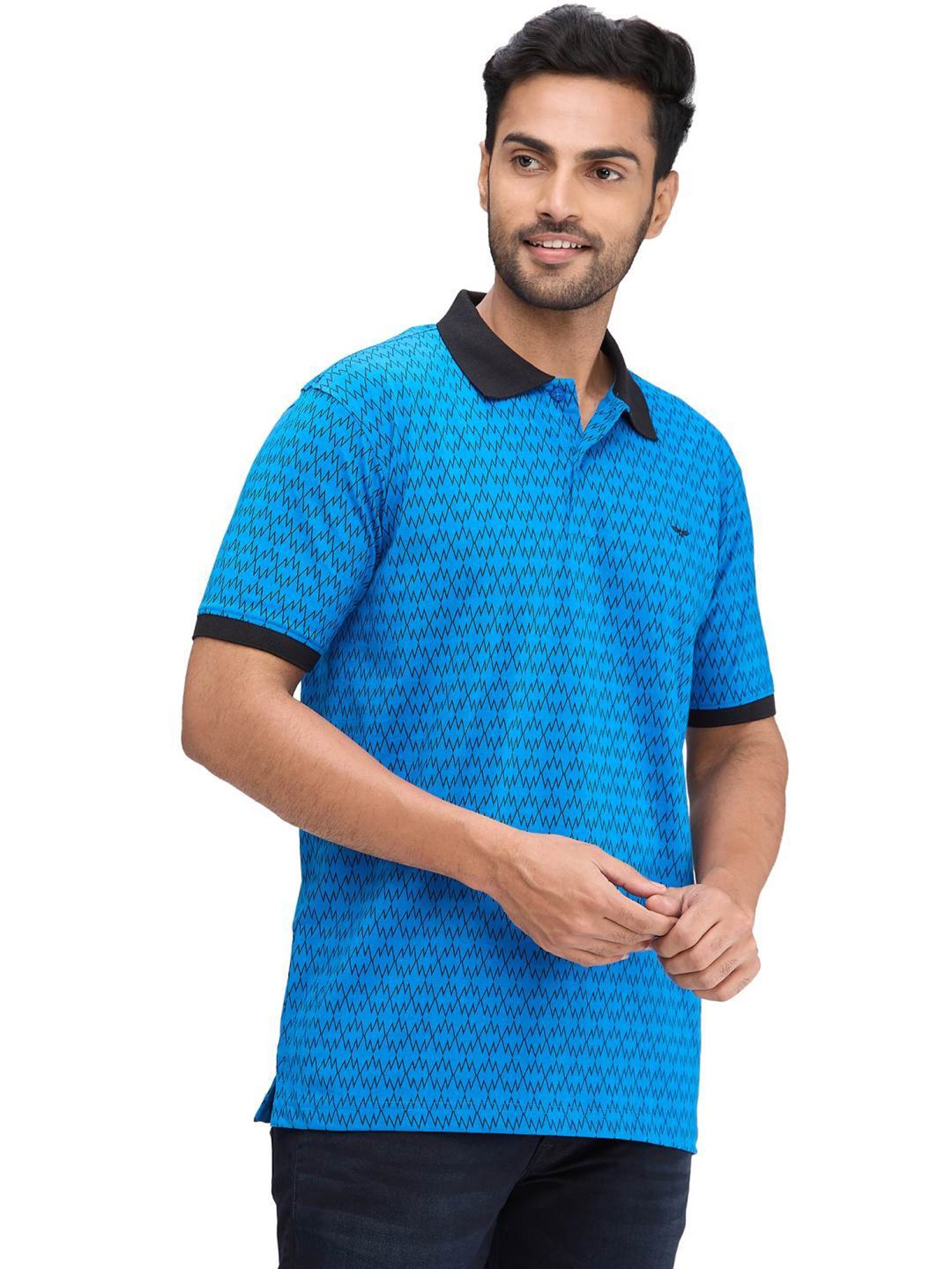 Park Avenue Blue Slim Fit Printed Polo T-Shirt