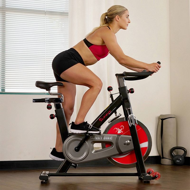 Sunny Health and Fitness Chain Drive Indoor Cycling Bike - Dark Gray